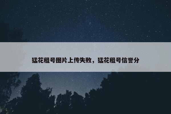 猛花租号图片上传失败，猛花租号信誉分