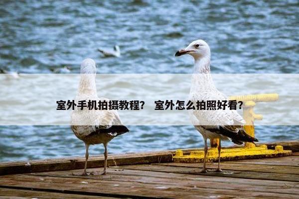 室外手机拍摄教程？ 室外怎么拍照好看？
