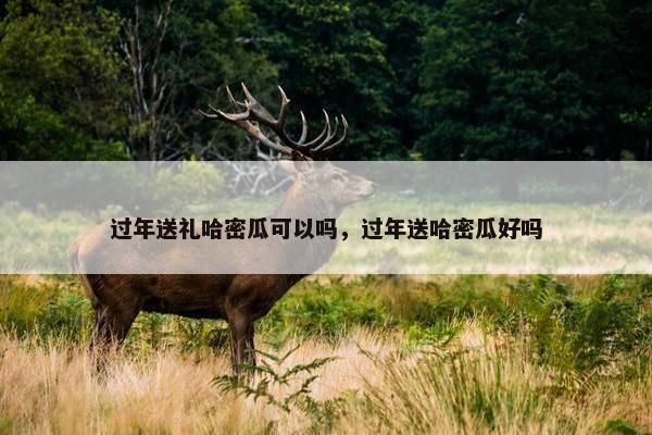 过年送礼哈密瓜可以吗，过年送哈密瓜好吗