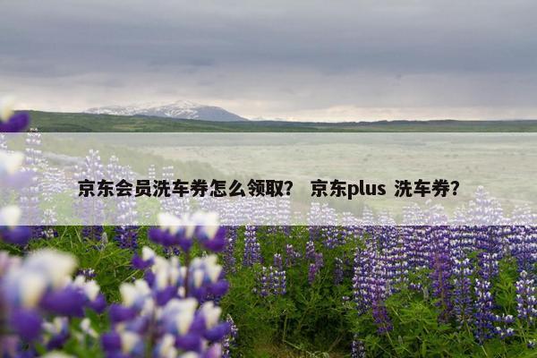 京东会员洗车券怎么领取？ 京东plus 洗车券？
