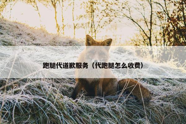 跑腿代道歉服务（代跑腿怎么收费）