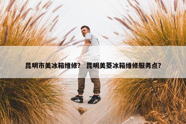 昆明市美冰箱维修？ 昆明美菱冰箱维修服务点？