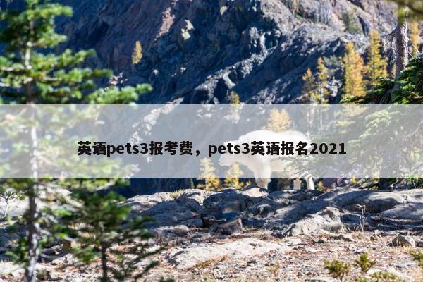 英语pets3报考费，pets3英语报名2021