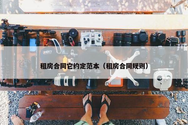 租房合同它约定范本（租房合同规则）