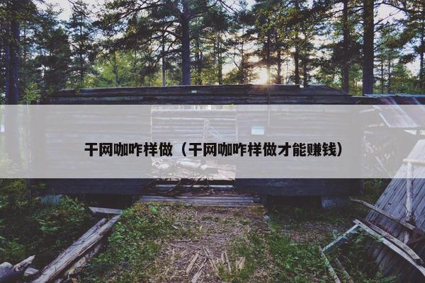 干网咖咋样做（干网咖咋样做才能赚钱）