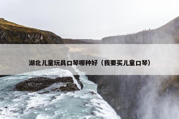 湖北儿童玩具口琴哪种好（我要买儿童口琴）