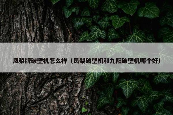 凤梨牌破壁机怎么样（凤梨破壁机和九阳破壁机哪个好）