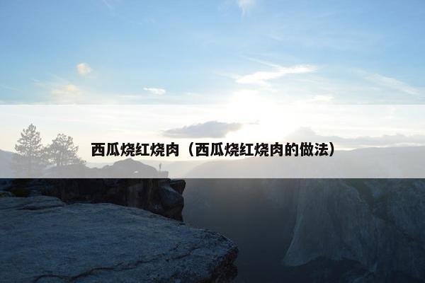 西瓜烧红烧肉（西瓜烧红烧肉的做法）
