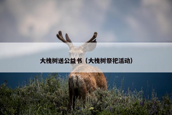 大槐树送公益书（大槐树祭祀活动）