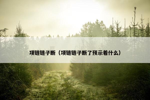 项链链子断（项链链子断了预示着什么）