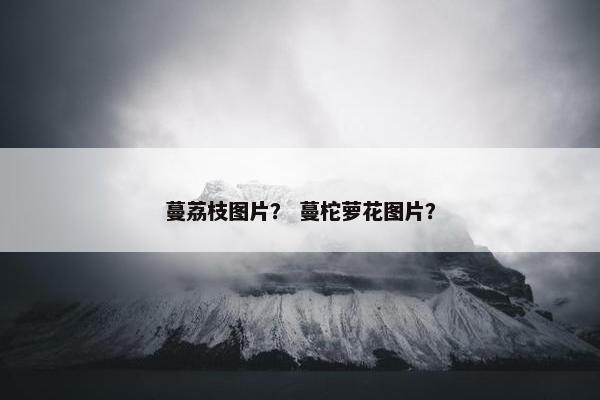蔓荔枝图片？ 蔓柁萝花图片？