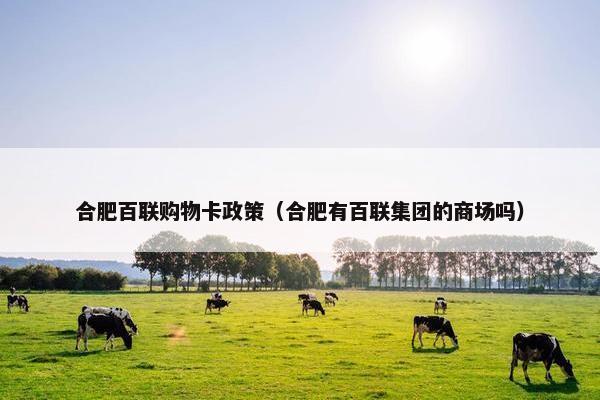 合肥百联购物卡政策（合肥有百联集团的商场吗）
