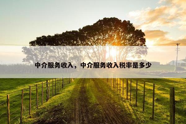 中介服务收入，中介服务收入税率是多少