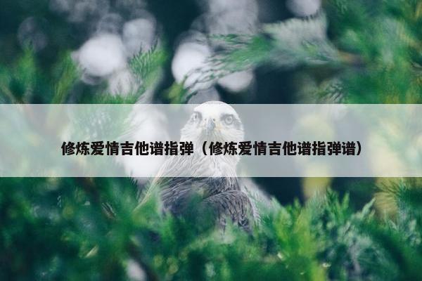 修炼爱情吉他谱指弹（修炼爱情吉他谱指弹谱）