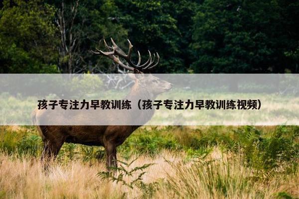 孩子专注力早教训练（孩子专注力早教训练视频）