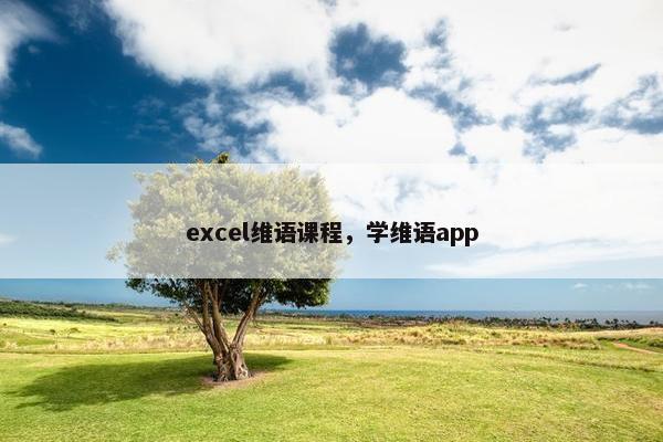 excel维语课程，学维语app