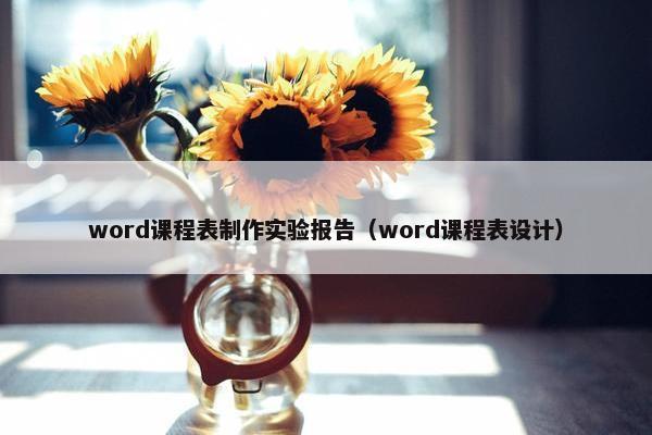 word课程表制作实验报告（word课程表设计）
