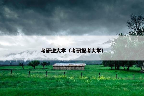 考研进大学（考研报考大学）