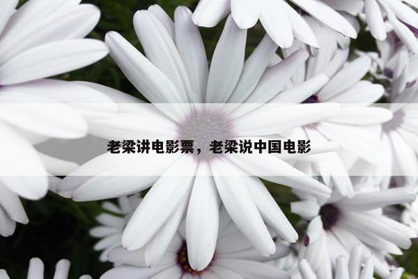 老梁讲电影票，老梁说中国电影