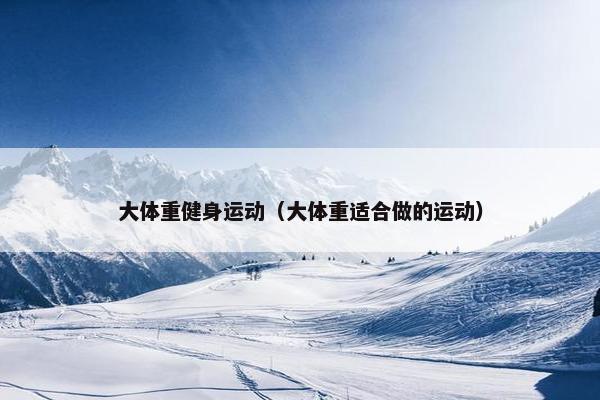 大体重健身运动（大体重适合做的运动）