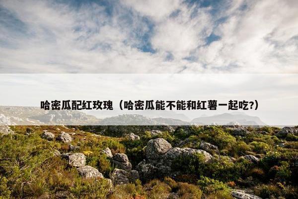 哈密瓜配红玫瑰（哈密瓜能不能和红薯一起吃?）