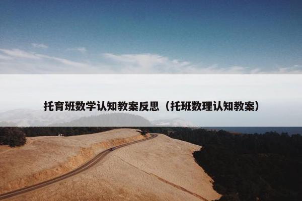 托育班数学认知教案反思（托班数理认知教案）