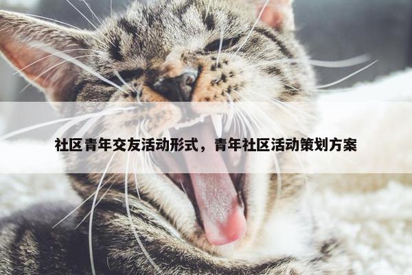 社区青年交友活动形式，青年社区活动策划方案