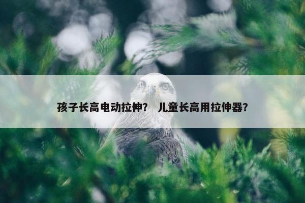 孩子长高电动拉伸？ 儿童长高用拉伸器？
