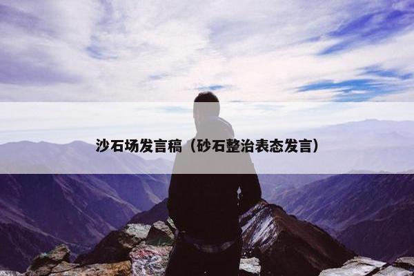 沙石场发言稿（砂石整治表态发言）