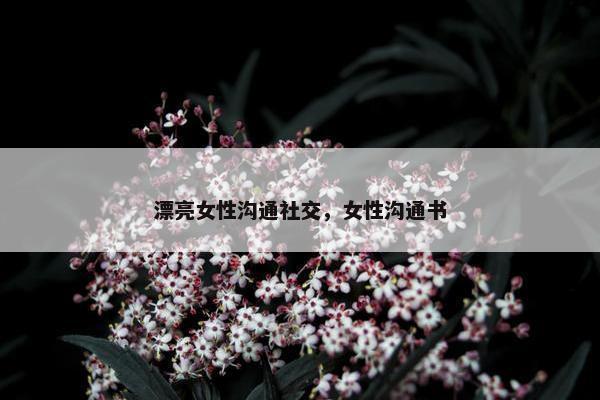 漂亮女性沟通社交，女性沟通书
