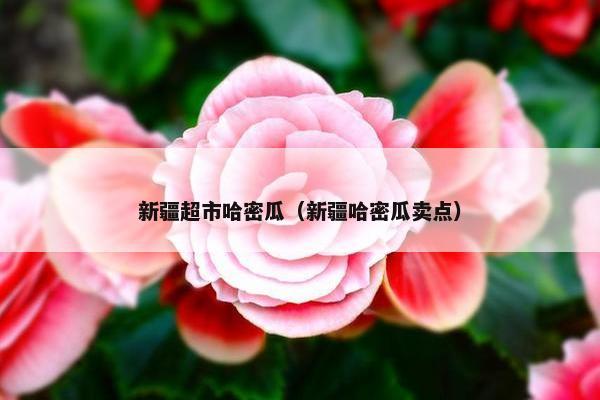 新疆超市哈密瓜（新疆哈密瓜卖点）