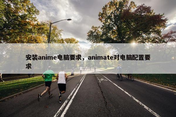 安装anime电脑要求，animate对电脑配置要求
