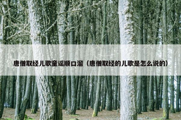 唐僧取经儿歌童谣顺口溜（唐僧取经的儿歌是怎么说的）