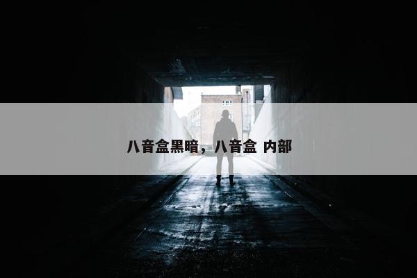 八音盒黑暗，八音盒 内部