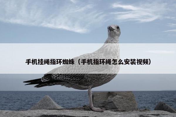 手机挂绳指环蜘蛛（手机指环绳怎么安装视频）
