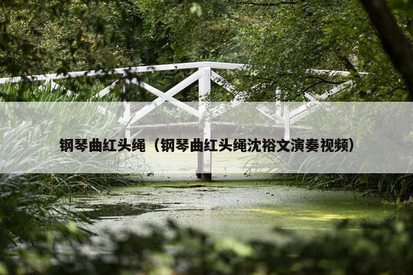 钢琴曲红头绳（钢琴曲红头绳沈裕文演奏视频）