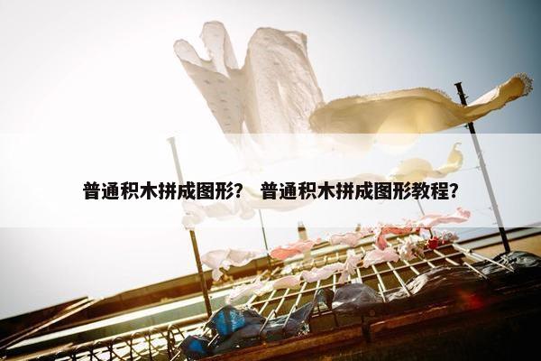 普通积木拼成图形？ 普通积木拼成图形教程？