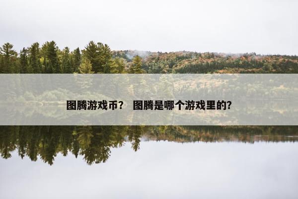 图腾游戏币？ 图腾是哪个游戏里的？