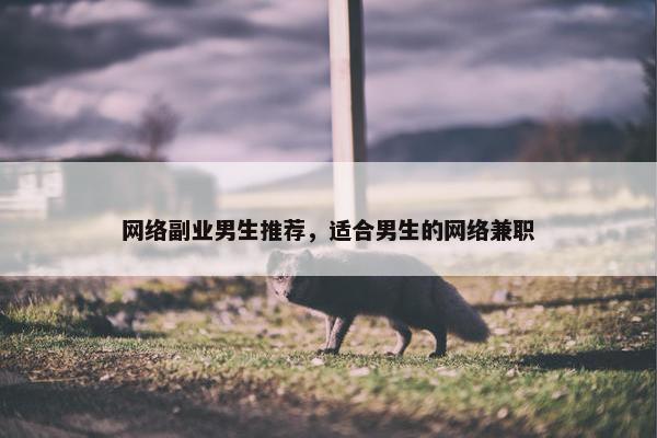 网络副业男生推荐，适合男生的网络兼职