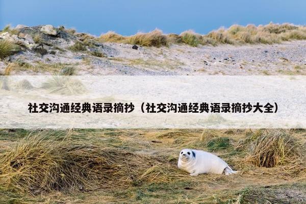 社交沟通经典语录摘抄（社交沟通经典语录摘抄大全）