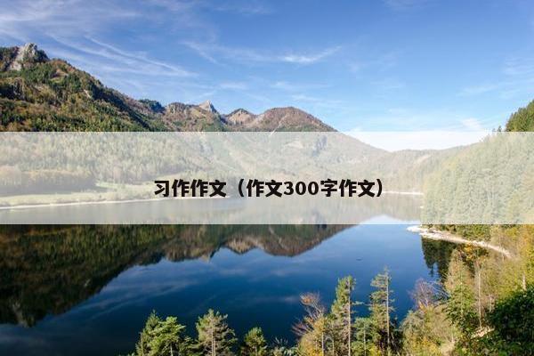 习作作文（作文300字作文）