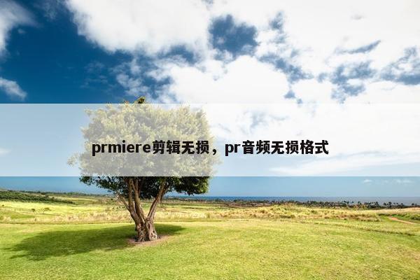 prmiere剪辑无损，pr音频无损格式