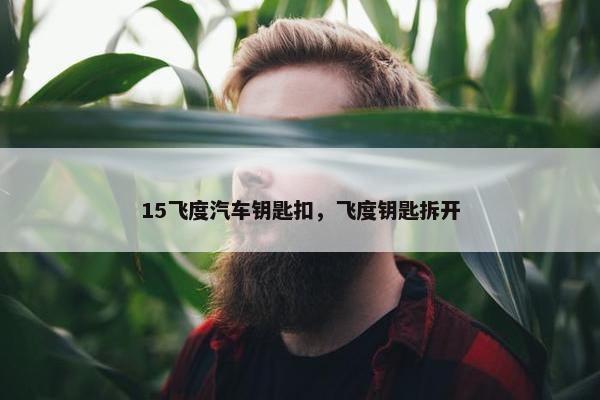 15飞度汽车钥匙扣，飞度钥匙拆开