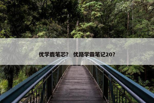 优学鹿笔芯？ 优路学霸笔记20？