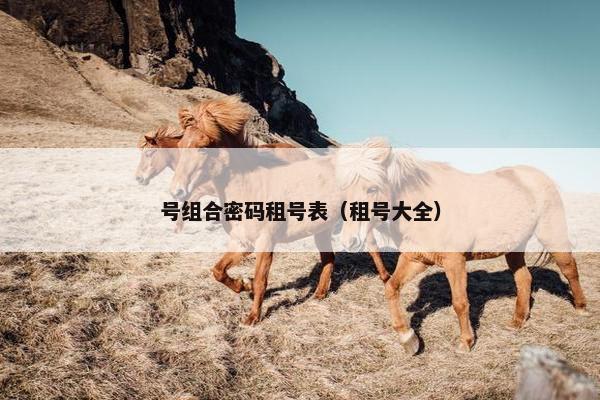 号组合密码租号表（租号大全）
