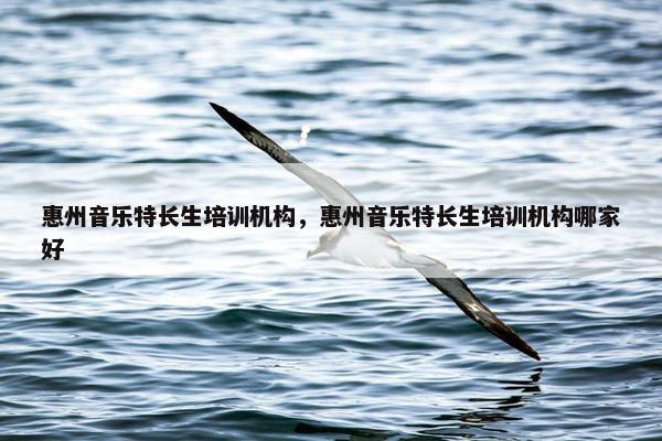 惠州音乐特长生培训机构，惠州音乐特长生培训机构哪家好
