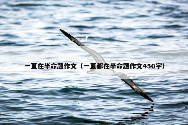 一直在半命题作文（一直都在半命题作文450字）