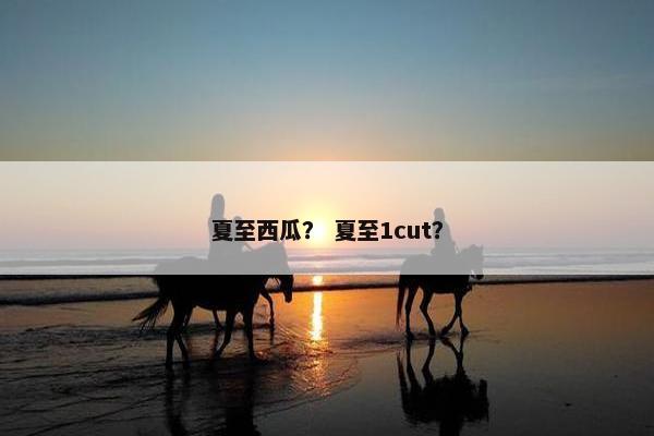 夏至西瓜？ 夏至1cut？