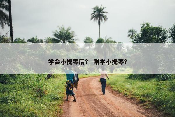 学会小提琴后？ 刚学小提琴？